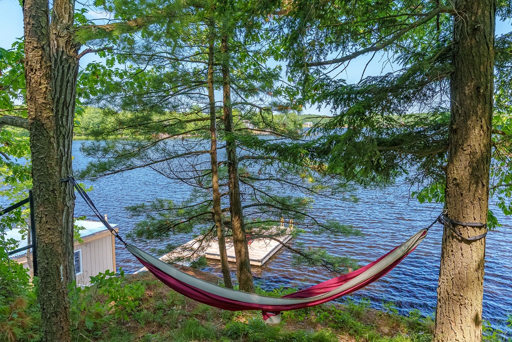2-2878MuskokaRd118W-MVTStudios-64